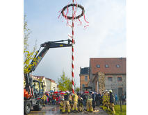 Maibaum_Barleben