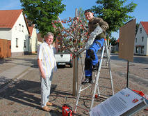 Liebesschl&ouml;sserbaum_II_Erweiterung