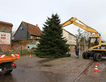 Aufstellen Weihnachtsbaum Barleben