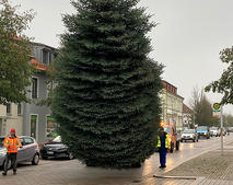 Weihnachtsbaum Barleben