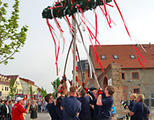 Maib&auml;ume in den Ortschaften aufgestellt